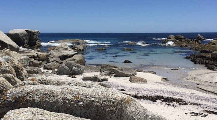 zur Vergrößerungsansicht des Bildes: Küste von Camps Bay, Cape Town, Südafrika