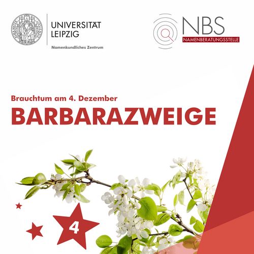 Grafik mit dem Titel "Brauchtum Barbarazweige". Darunter ist das Foto eines Zweiges mit kleinen weißen Blüten.