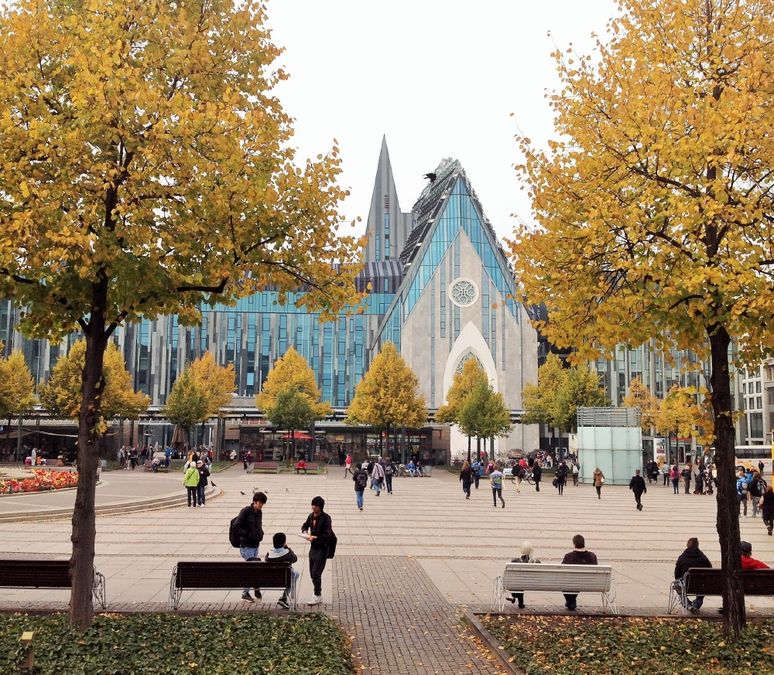 Das Foto zeigt den Campus Augustusplatz der Universität Leipzig im Herbst mit Blick durch die Bäume auf das Paulinum.