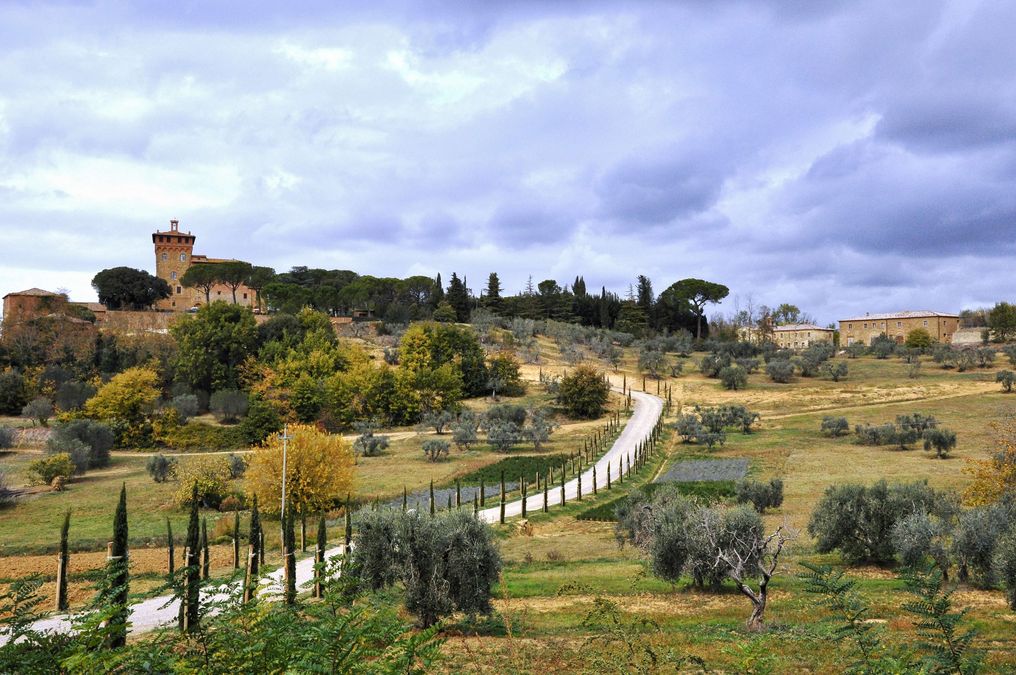 zur Vergrößerungsansicht des Bildes: Landschaft in der Toskana 