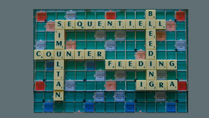 photo scrabble arrangement of concepts of the Research Training Group