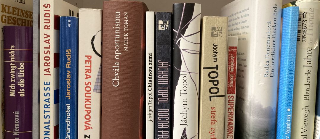 Das Bild zeigt eine Auswahl tschechischer Romane.