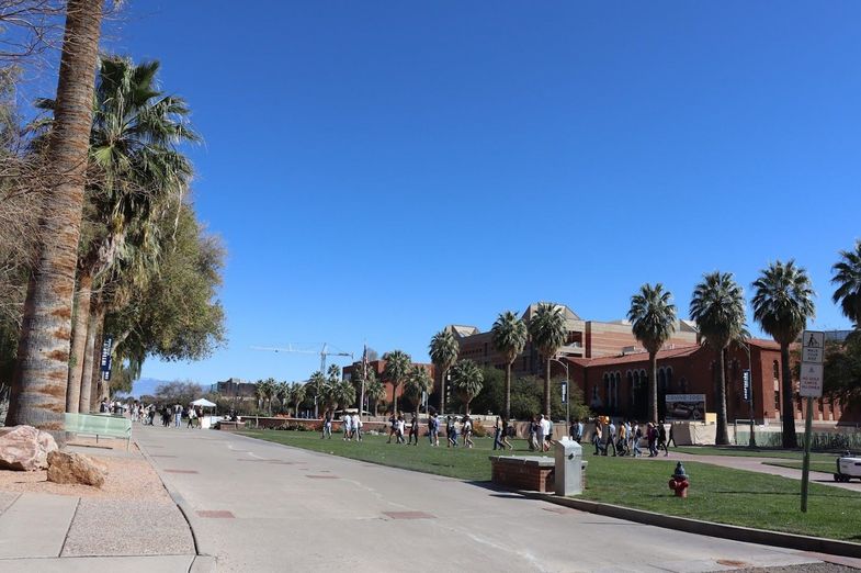Der Haupt-Campus der University of Arizona. Foto: Leonhard Herrmann