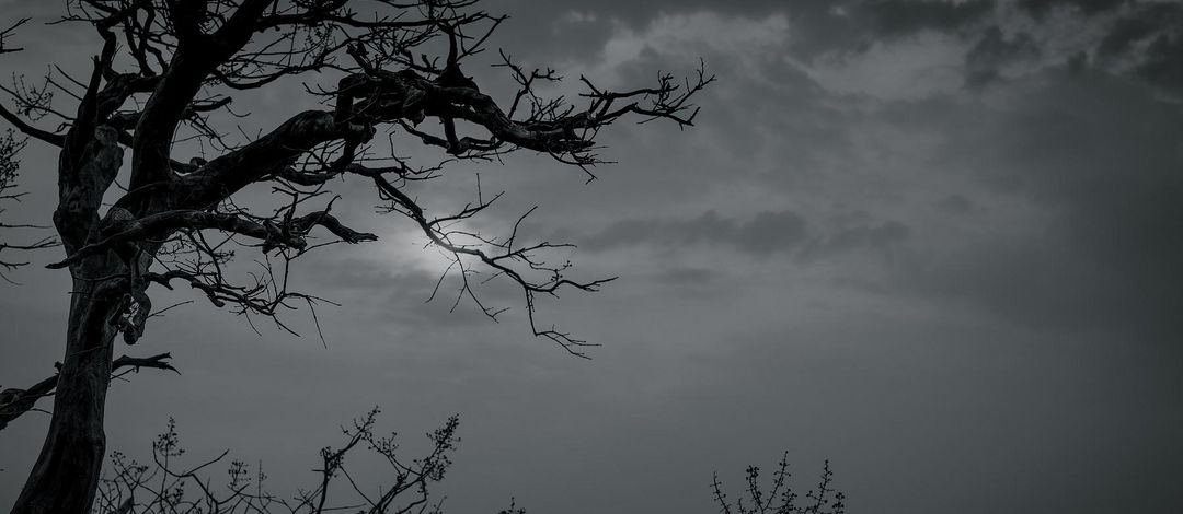 Schwarzweiß Aufnahme: im Vordergrund steht ein kahler Baum mit kantigen Ästen, im Hintergrund ist ein mit dunklen Wolken verhangener Himmel zu erkennen.
